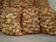 картофель продовольственный,  овощи