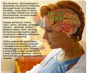 Консультативо-диагностическая система восстановительной медицины