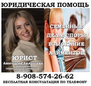 Взыскание алиментов,  юридические услуги